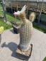 Preview: Echinocereus grandis